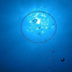 Illustration for article titled Supercavitation might change the way we go to sea